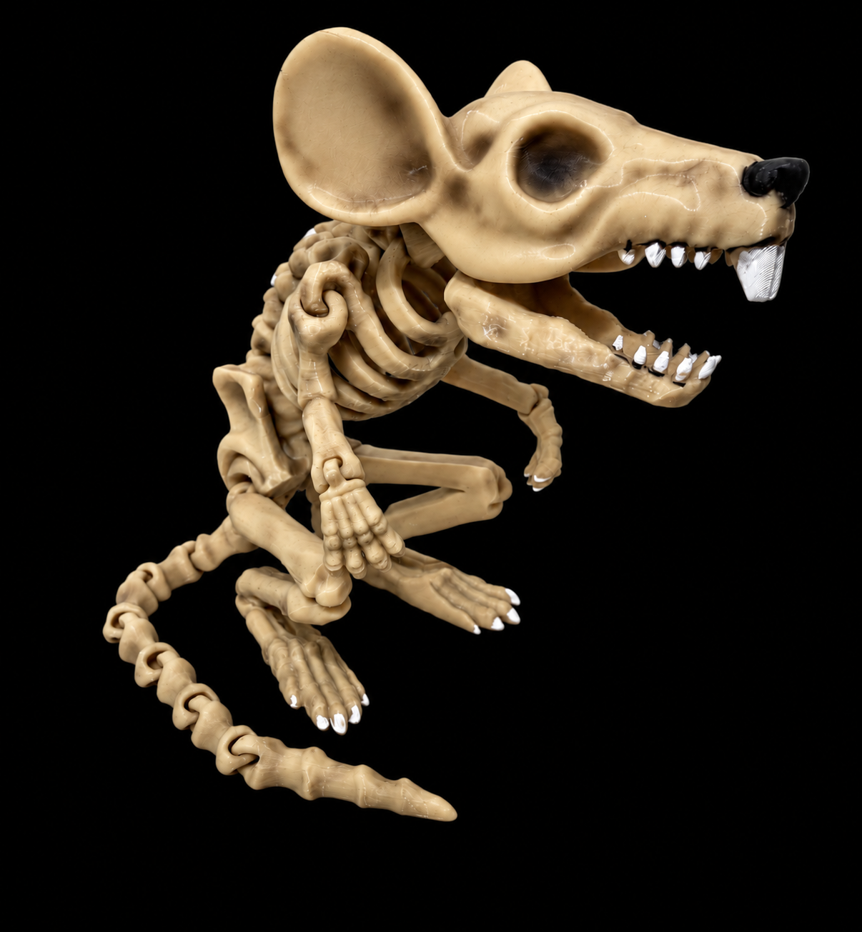 Rat skull FLEXIBLE